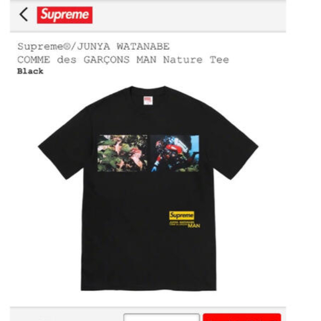 Supreme / JUNYA WATANABE MAN Nature Tee