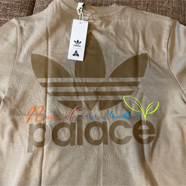 L ADIDAS PALACE NATURE TEE Wild Pine