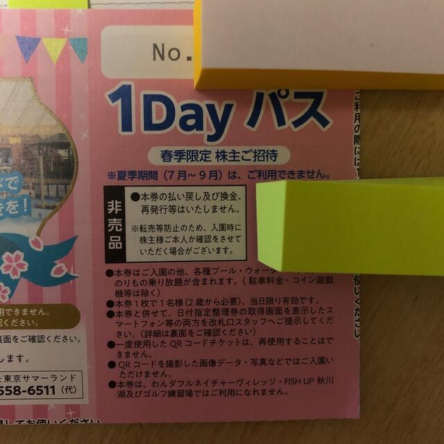 東京サマーランド 春季ファミリーご招待券 3枚 1dayパス 株主優待券 チケットの施設利用券(遊園地/テーマパーク)の商品写真