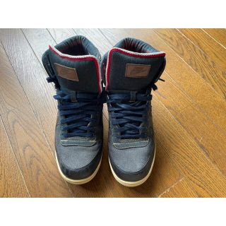 ナイキ(NIKE)のNIKE DUNK HI ダンクハイ　デニム　29cm 箱無し(スニーカー)