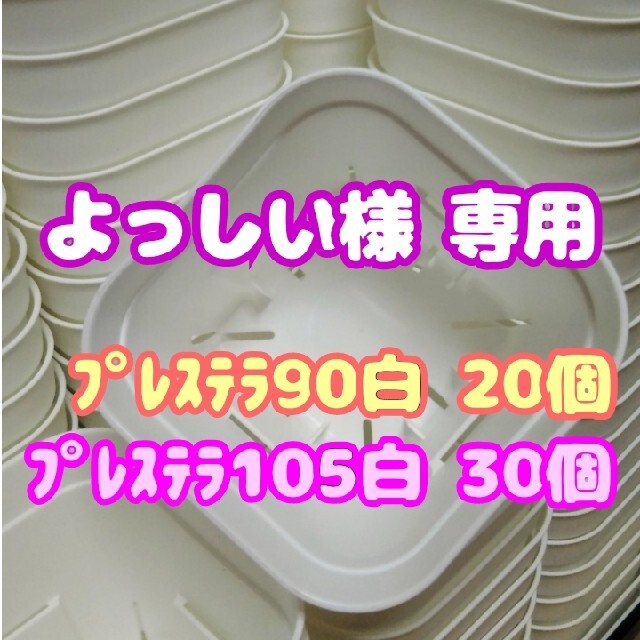 【スリット鉢】プレステラ105白30個 他 多肉植物 プラ鉢 ハンドメイドのフラワー/ガーデン(プランター)の商品写真