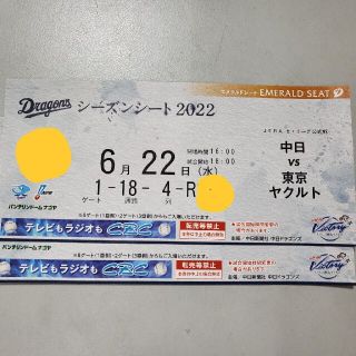 チュウニチドラゴンズ(中日ドラゴンズ)の6月22日 中日ドラゴンズ VS 東京ヤクルト 2枚連番 バンテリンドーム(野球)