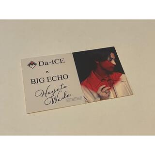 ダイス(DICE)のDa-iCE × BIG ECHO コラボステッカー(ミュージシャン)