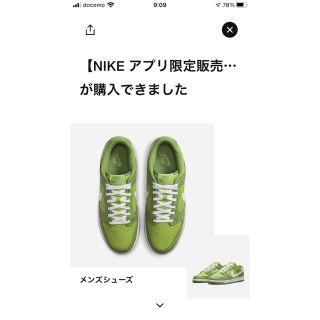 ナイキ(NIKE)のナイキダンクロー“カーミット/クロロフィル”  28CM(スニーカー)