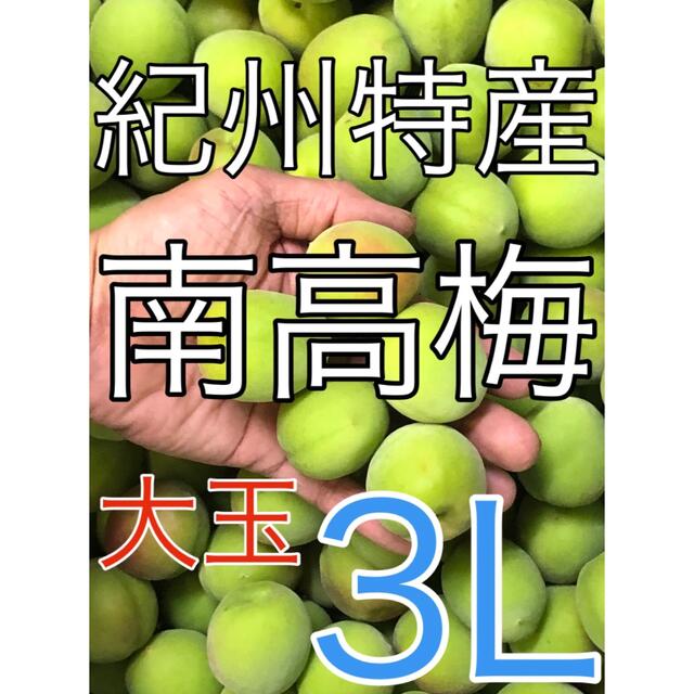 r2204 紀州南高梅　3kg 大玉3Lサイズ　和歌山県産　青梅 食品/飲料/酒の食品(フルーツ)の商品写真