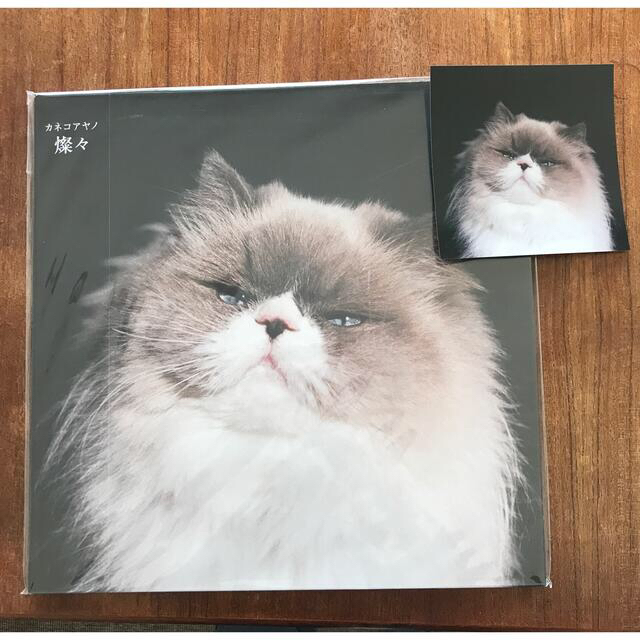 カネコアヤノ 燦々 レコード LP - 通販 - pinehotel.info