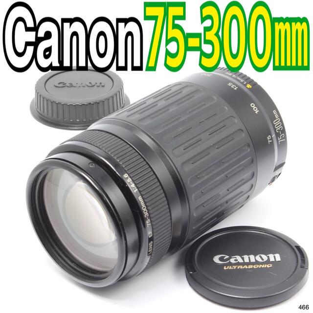 キヤノン Canon EF 75-300mm F4-5.6