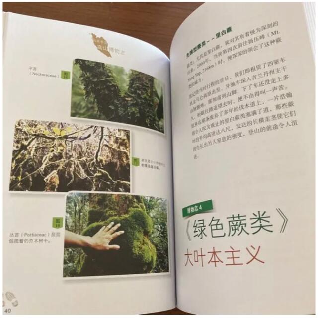 馬來半島 高山博物誌 朱海波著 マレーシア 高山植物