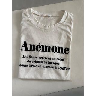 シマムラ(しまむら)のOEテンジクシシュウロゴT(Tシャツ(半袖/袖なし))