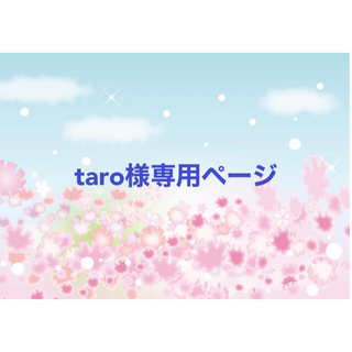 taro様専用ORT stage1-13 ＆Maiyapen限定セット