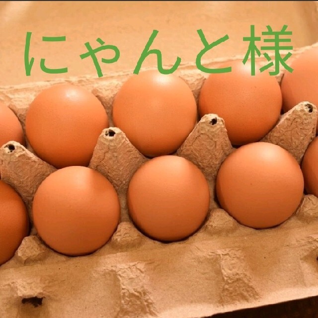 にゃんと様専用 平飼いたまご50個 食品/飲料/酒の食品(野菜)の商品写真