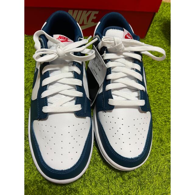 Nike Dunk Low "Valerian Blue" 28cm us10