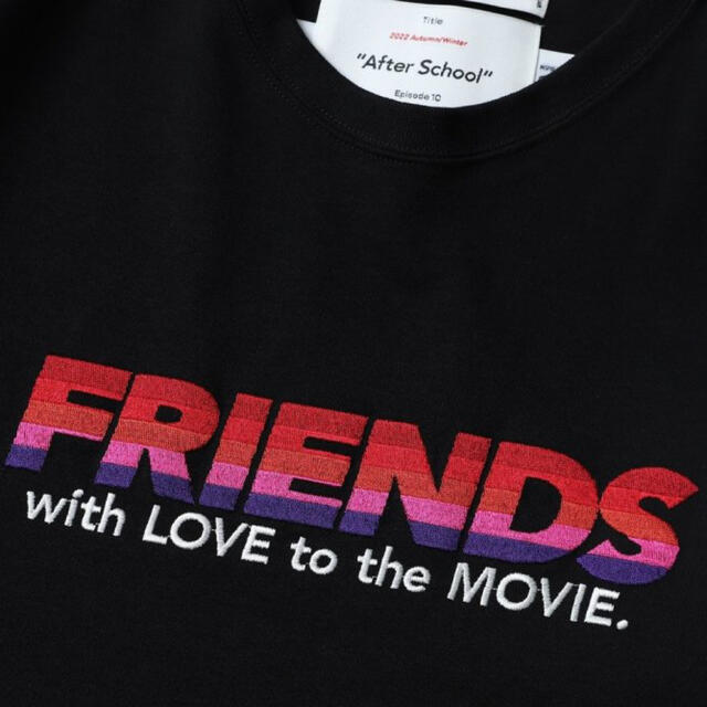 シュタイン DAIRIKU 'FRIENDS'TEE 2G別注 刺繍Tシャツ シャツ