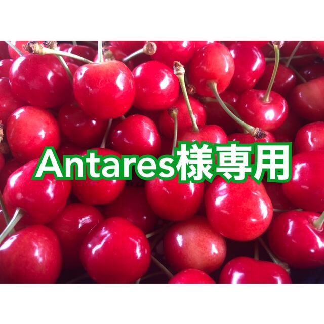 Antares様専用　佐藤錦L秀品1キロ　クール便　送料込み 食品/飲料/酒の食品(フルーツ)の商品写真