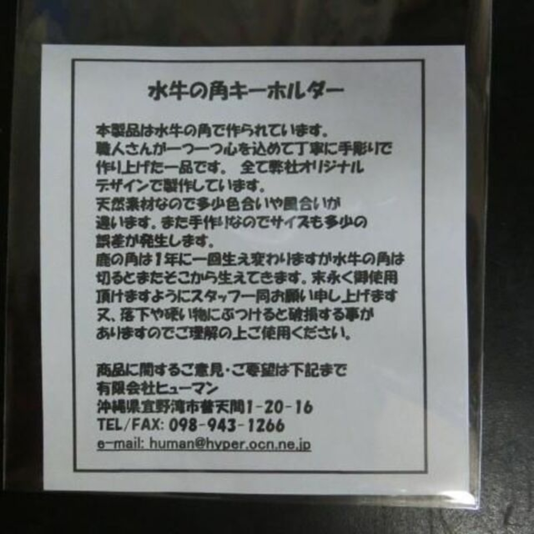 ２個セット　水牛の角海亀10cmキーホルダー 3