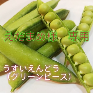 京都産　うすいえんどう　グリーンピース　2kg（えだまめ様専用）(野菜)