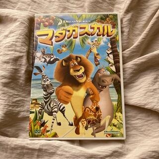 マダガスカル　スペシャル・エディション DVD(舞台/ミュージカル)