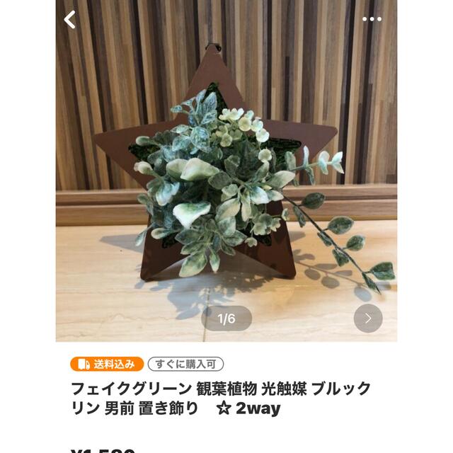 高い品質 ウォールグリーン 2way 豪華贅沢 流木 ブルックリン 男前 光触媒 多肉植物