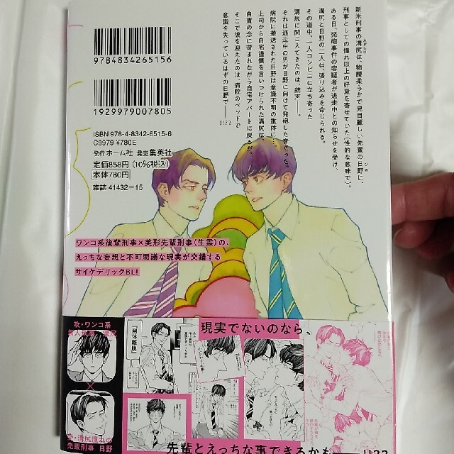 ぷりん様専用3冊◆    コミック  4月刊  BL  サイケデリア  高橋秀武 エンタメ/ホビーの漫画(ボーイズラブ(BL))の商品写真