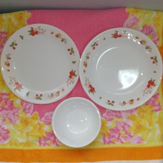 コレール(CORELLE)の[週末限定Sale] CORELE "フルーツリース"A(食器)