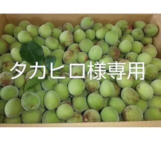 【タカヒロ様専用】 高知産梅1.2kg  【南高梅小梅】 無農薬・有機肥料(フルーツ)