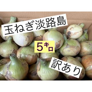 玉ねぎ淡路島　訳あり５キロ(野菜)