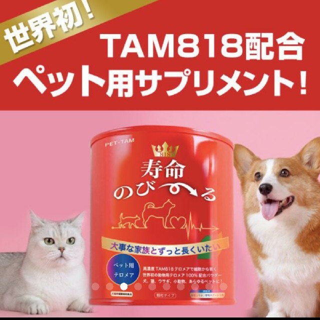 世界初！日本先行販売　ペット用テロメアのサプリ　普段のご飯に混ぜるだけ　1缶