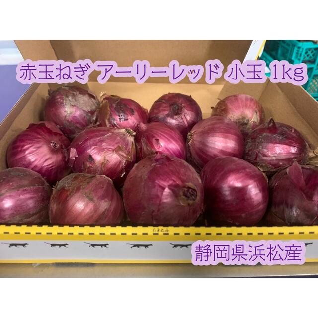 赤玉ねぎ 小玉 小さめ 静岡県浜松産 1kg 食品/飲料/酒の食品(野菜)の商品写真