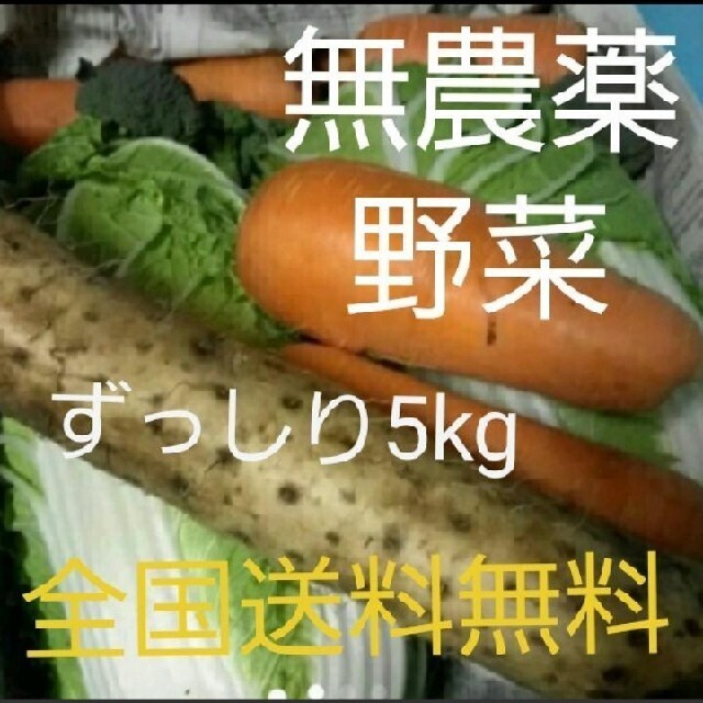 無農薬野菜詰め合わせ 食品/飲料/酒の食品(野菜)の商品写真