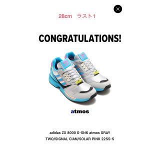 アディダス(adidas)のアトモス × アディダス ZX8000 G-SNK "TJ"(スニーカー)