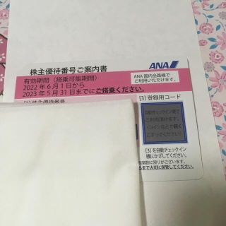 エーエヌエー(ゼンニッポンクウユ)(ANA(全日本空輸))のANA株主優待1枚(その他)