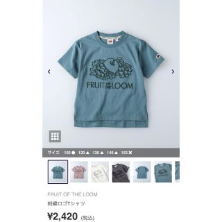 フルーツオブザルーム(FRUIT OF THE LOOM)の新品　フルーツオブザルーム(Tシャツ/カットソー)