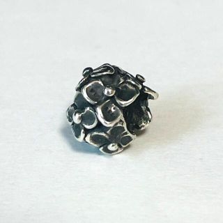 trollbeads トロールビーズ ハイドランジア(チャーム)