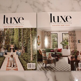 セオリーリュクス(Theory luxe)のluxe アメリカ インテリア デザイン 雑誌 2022.3&4月(生活/健康)