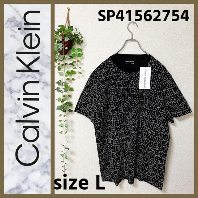 Calvin Klein(カルバンクライン)の【新品　タグ有】カルバンクライン　tシャツ サイズL メンズのトップス(Tシャツ/カットソー(半袖/袖なし))の商品写真