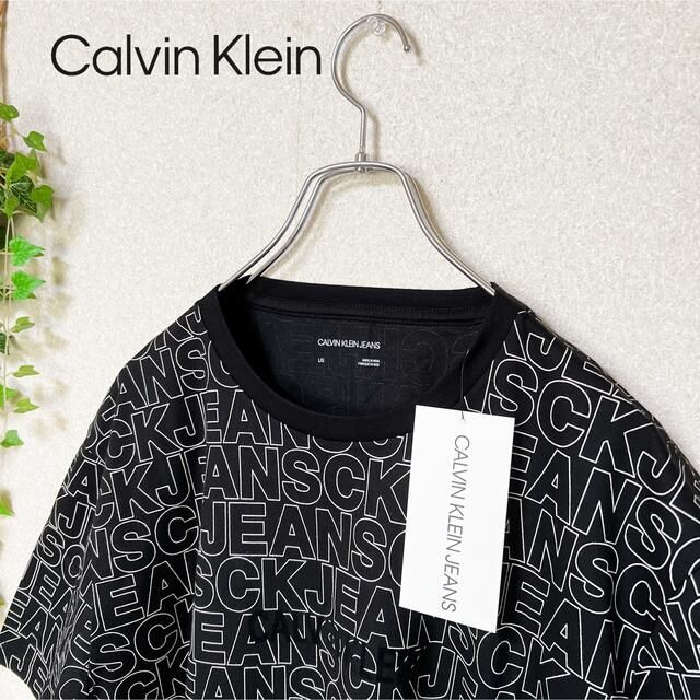 Calvin Klein(カルバンクライン)の【新品　タグ有】カルバンクライン　tシャツ サイズL メンズのトップス(Tシャツ/カットソー(半袖/袖なし))の商品写真