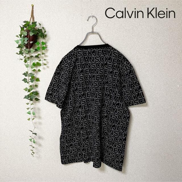 Calvin Klein(カルバンクライン)の【新品　タグ有】カルバンクライン　tシャツ サイズL メンズのトップス(Tシャツ/カットソー(半袖/袖なし))の商品写真