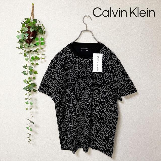 Calvin Klein(カルバンクライン)の【新品　タグ有】カルバンクライン　tシャツ サイズL メンズのトップス(Tシャツ/カットソー(半袖/袖なし))の商品写真