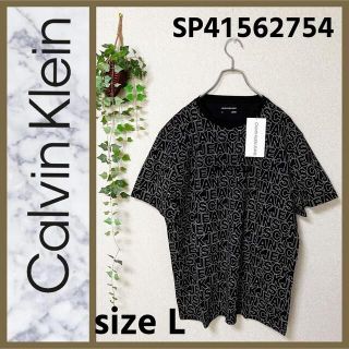 カルバンクライン(Calvin Klein)の【新品　タグ有】カルバンクライン　tシャツ サイズL(Tシャツ/カットソー(半袖/袖なし))