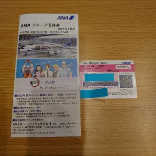 エーエヌエー(ゼンニッポンクウユ)(ANA(全日本空輸))のANA株主優待券(その他)