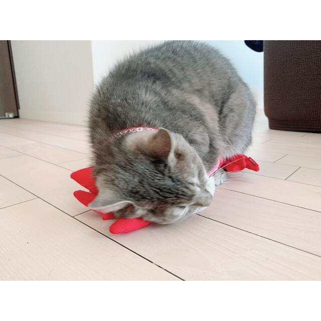 猫のおもちゃ ペティオ けりぐるみ エビの通販 by モコs shop｜ラクマ
