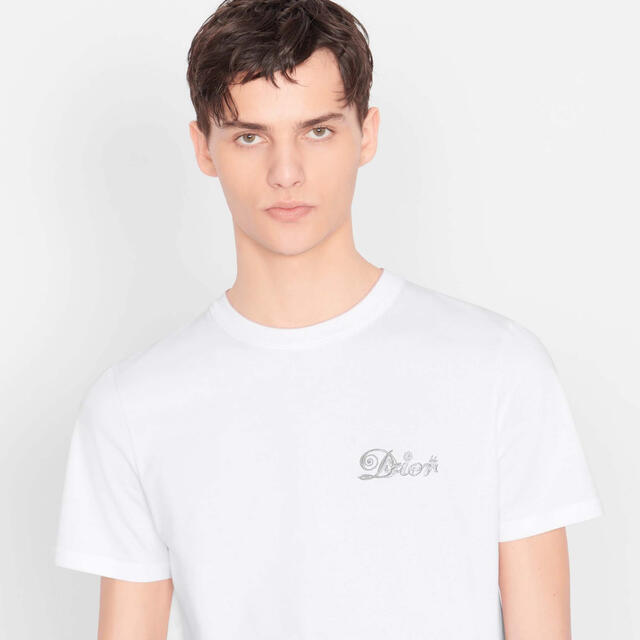 DIOR HOMME - ディオール ケニーシャーフコラボTシャツ 平日セールの