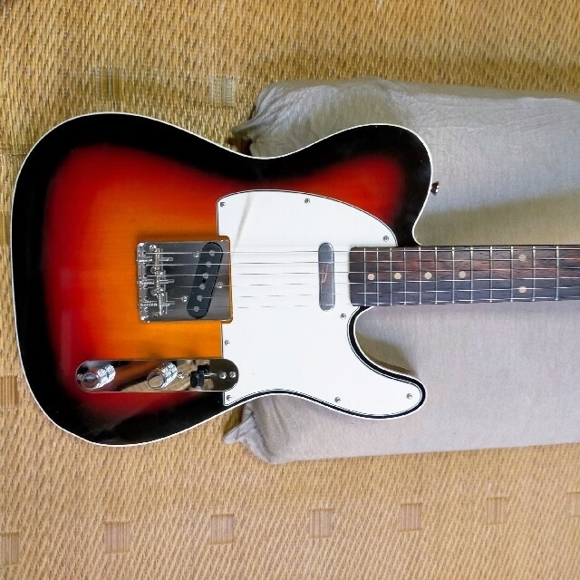 【tokushin様専用】K.nyui  KNTE カスタムテレキャスター 楽器のギター(エレキギター)の商品写真