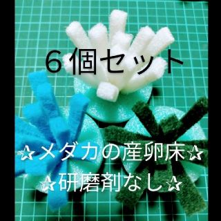 メダカの産卵床　６個セット(アクアリウム)