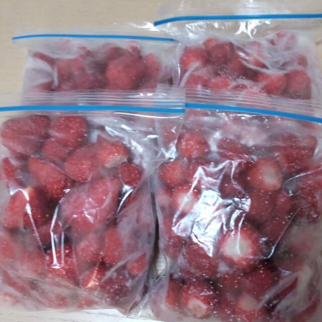 breezyheart様専用　冷凍いちご　紅ほっぺ　４キロ 食品/飲料/酒の食品(フルーツ)の商品写真