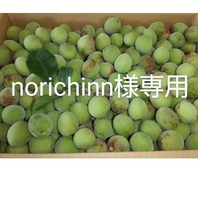 norichin様専用 高知産梅1.2kg  【南高梅小梅】 無農薬・有機肥料 食品/飲料/酒の食品(フルーツ)の商品写真