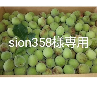 sion358様専用 高知産梅1.2kg  【南高梅小梅】 無農薬・有機肥料(フルーツ)
