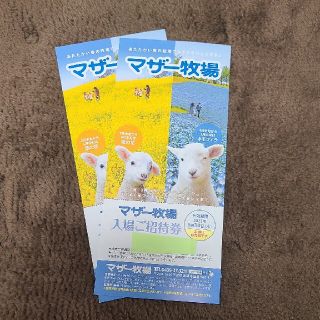 マザー牧場　入場招待券　2枚セット(遊園地/テーマパーク)