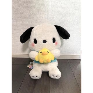 サンリオ(サンリオ)のサンリオ　ポチャッコ　ぬいぐるみ(ぬいぐるみ)