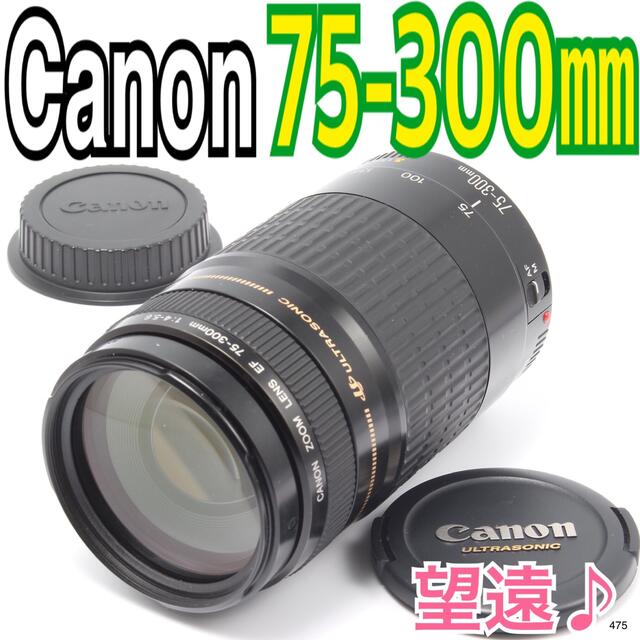 ○日本正規品○ 望遠レンズ☆大迫力300㎜☆スポーツ☆ Canon EF75-300 ○日本正規品○ 望遠レンズ☆大迫力300㎜☆スポーツ☆ Canon EF75-300